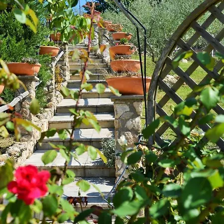 Quercia Monterotondo (Lazio)